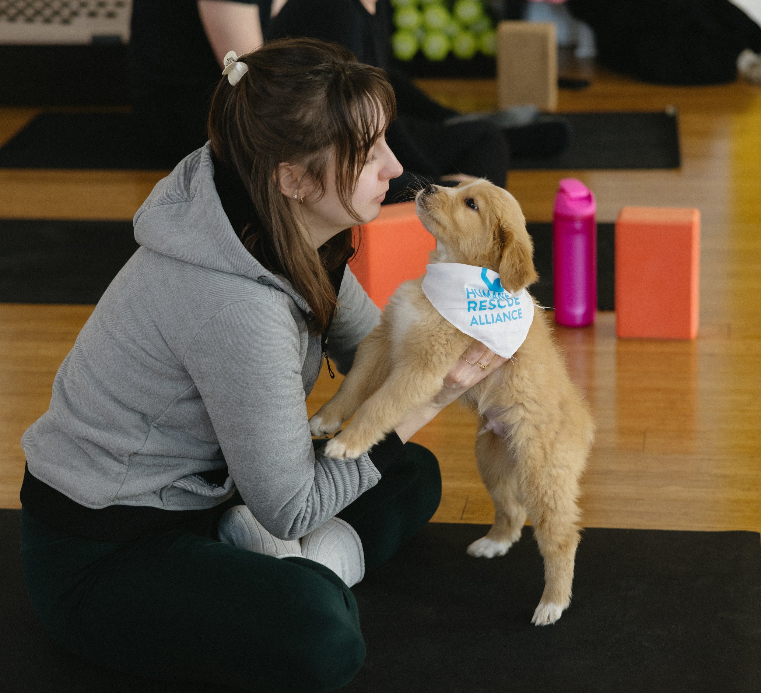 puppyyoga.jpg