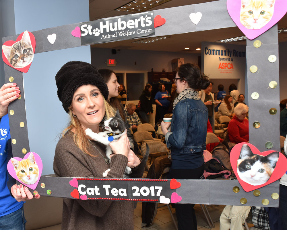 cat+tea+2017-010.jpeg
