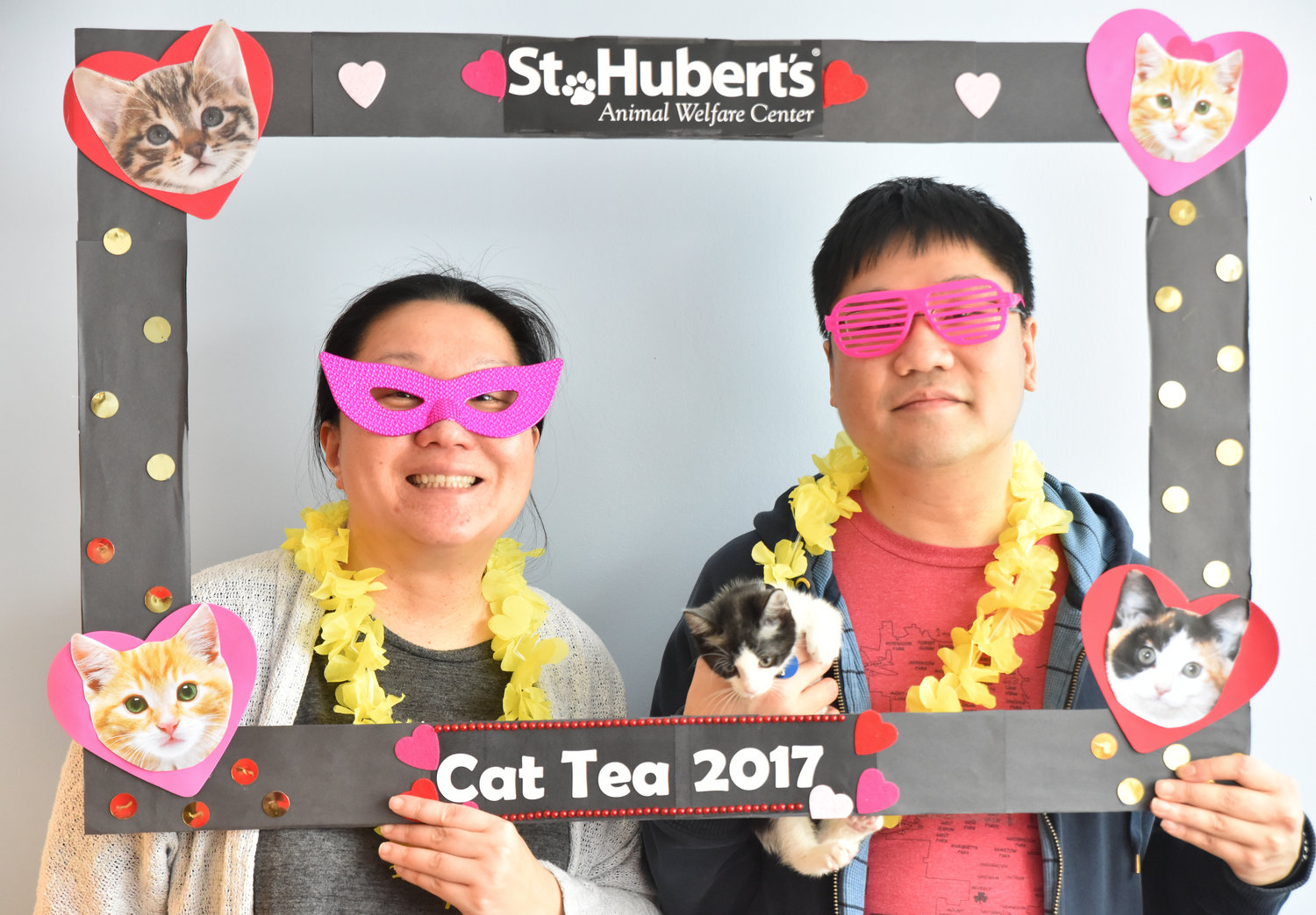 cat+tea+2017-012.jpeg