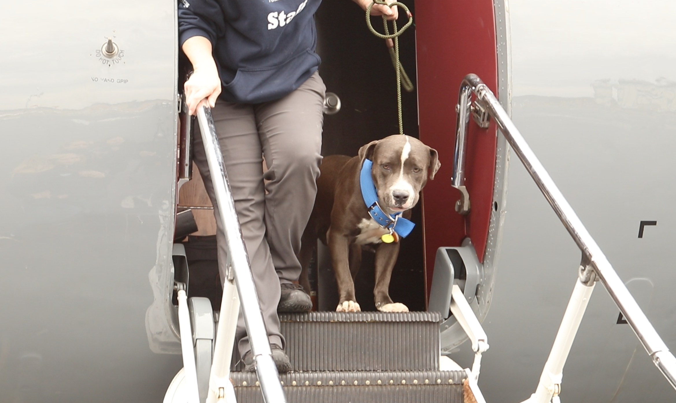 Tyson coming off the plane.png