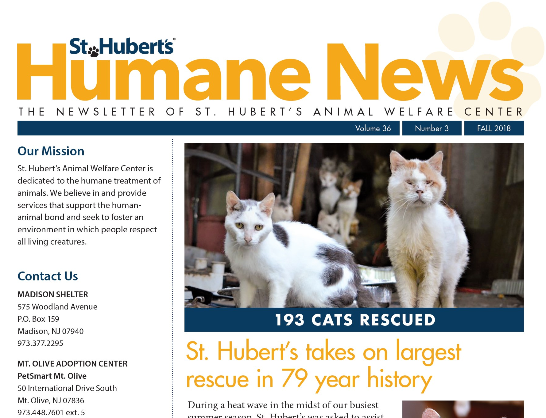 fall newsletter.png