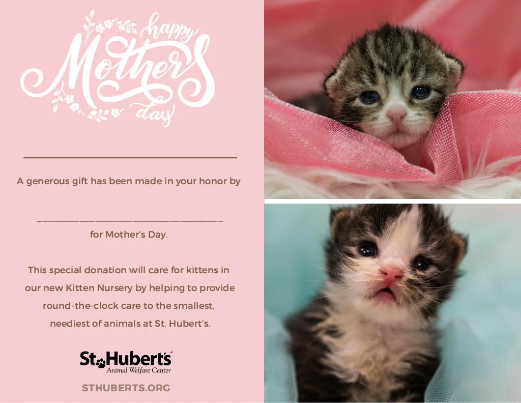 Mother's Day Certificate May 20191024_1.jpg