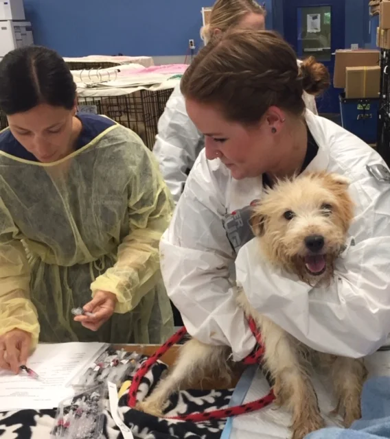 colleen and dog 1.JPG