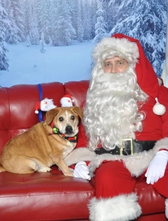 Zephyr and Santa cropped.jpg