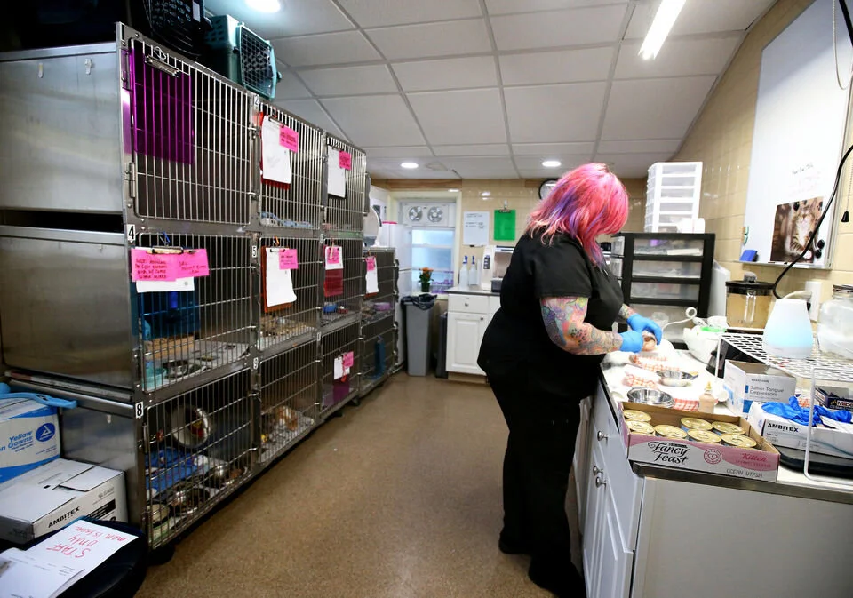 Sam Friedman, a veterinary technician and manager of the Kitten Nursery at St. Hubert's Animal Welfare Center in Madison, feeds the kittens in the nursery, Monday, Sept. 30, 2019. (Lori M. Nichols | NJ Advance Media for NJ.com)