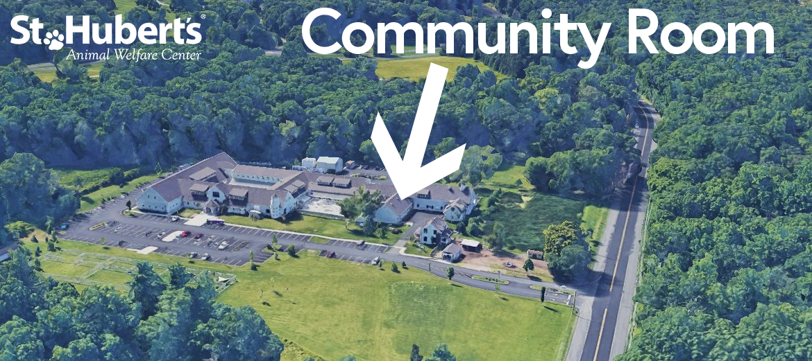 This day camp meets in the community room