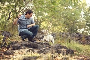 One-Day Workshop for Animal Welfare Professionals