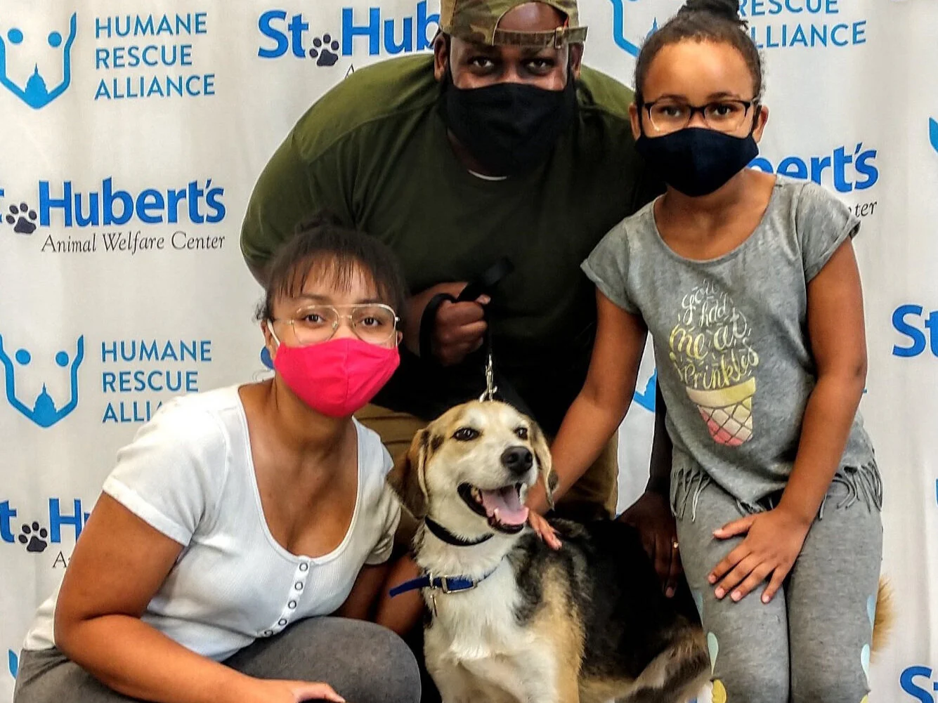 st huberts cat adoption