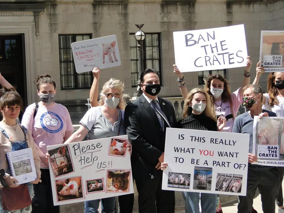 ban the crates 2.jpeg