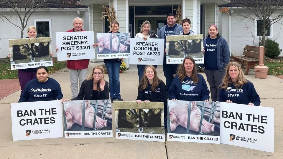 ban the crates og 1.jpeg