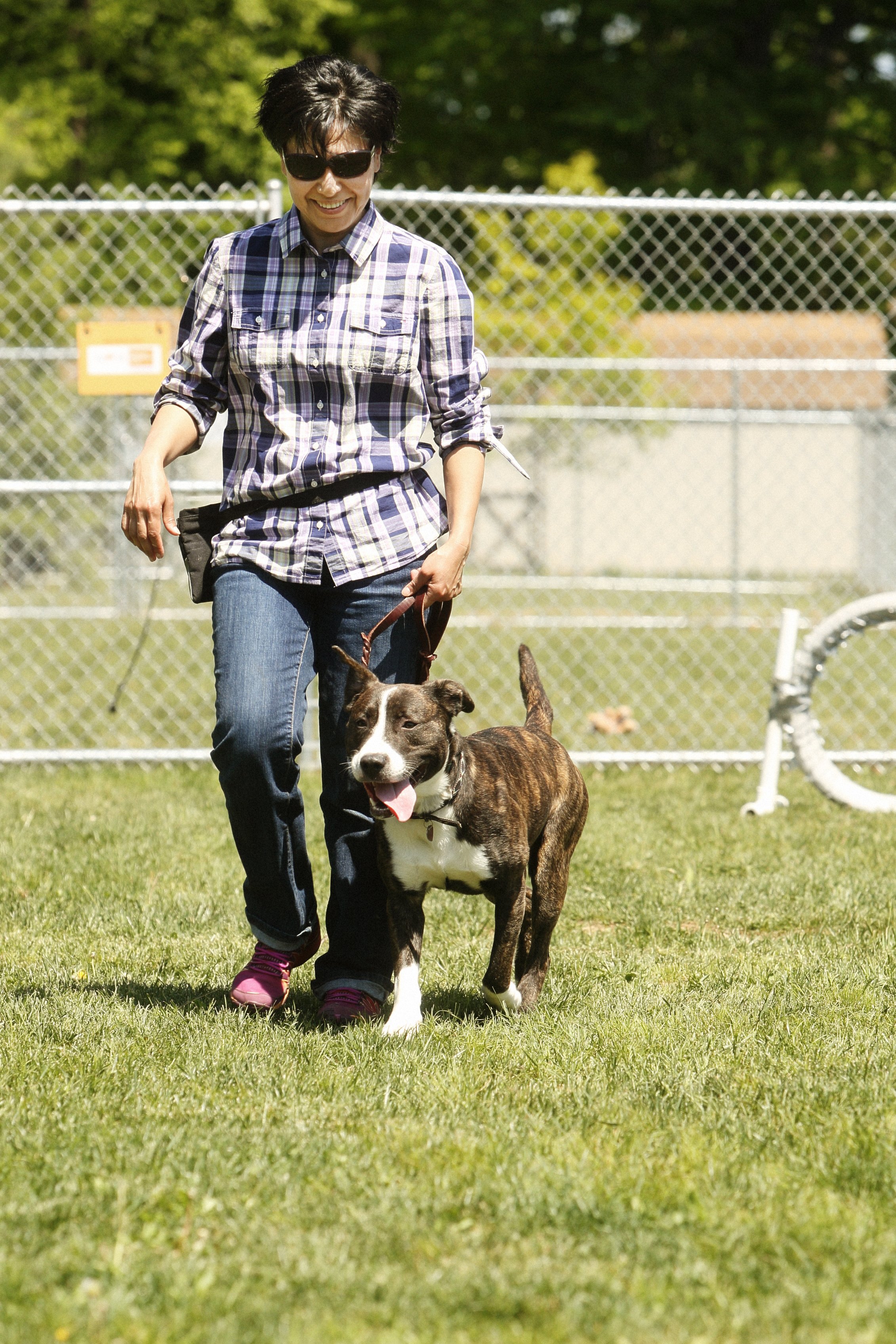   Behavior and Training Center   Register your dog for classes today!   REGISTER!  