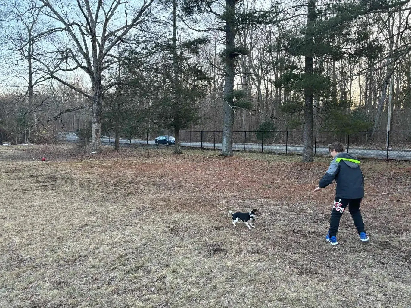 Kid and dog.jpg