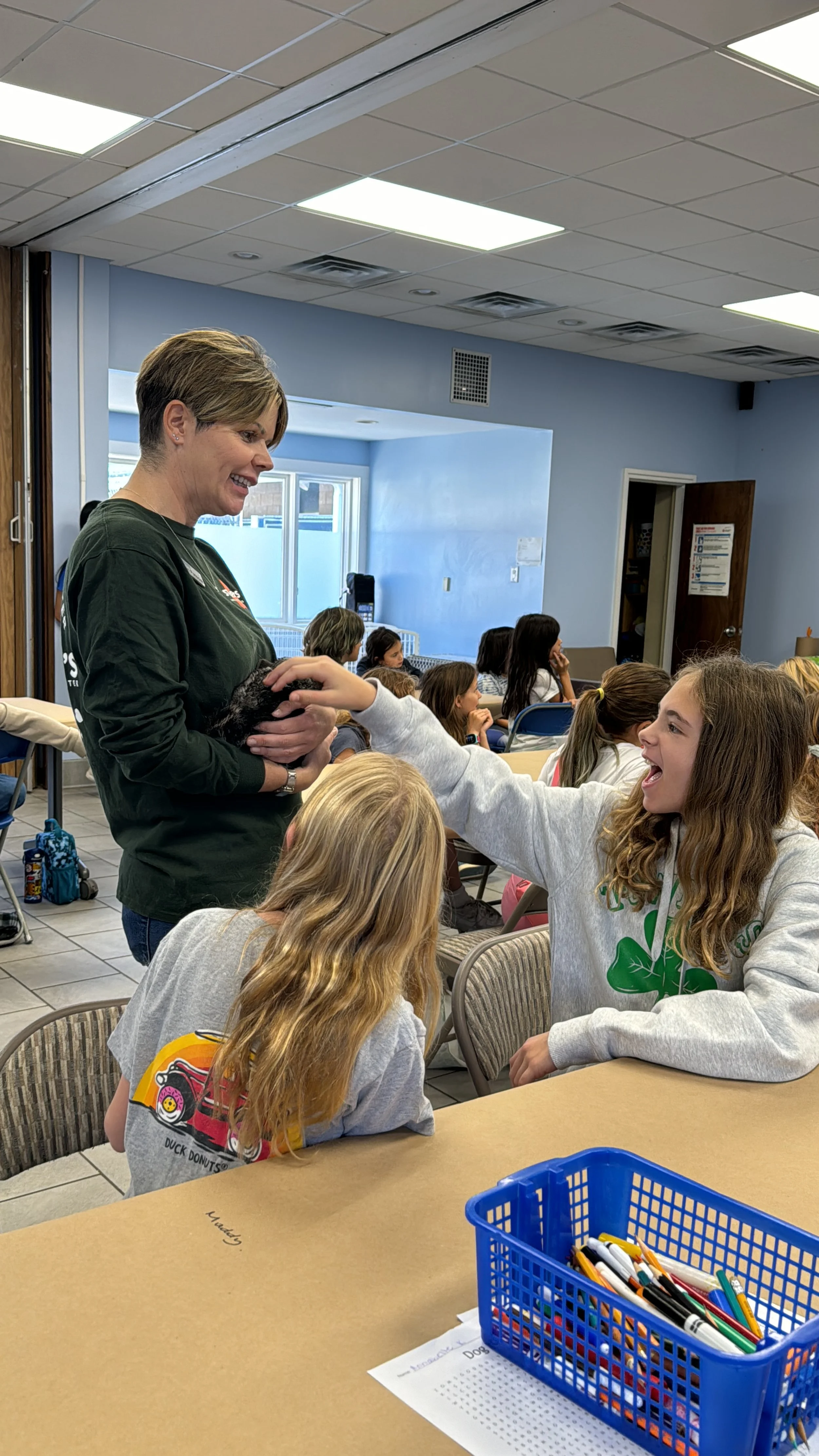 20241107_152805716_iOS 1.jpg