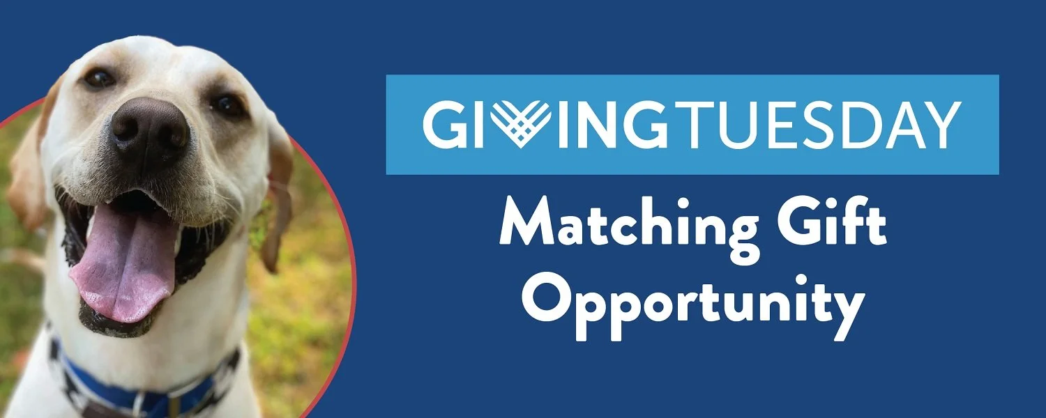 Support St. Hubert's St. Hubert's Animal Welfare Center