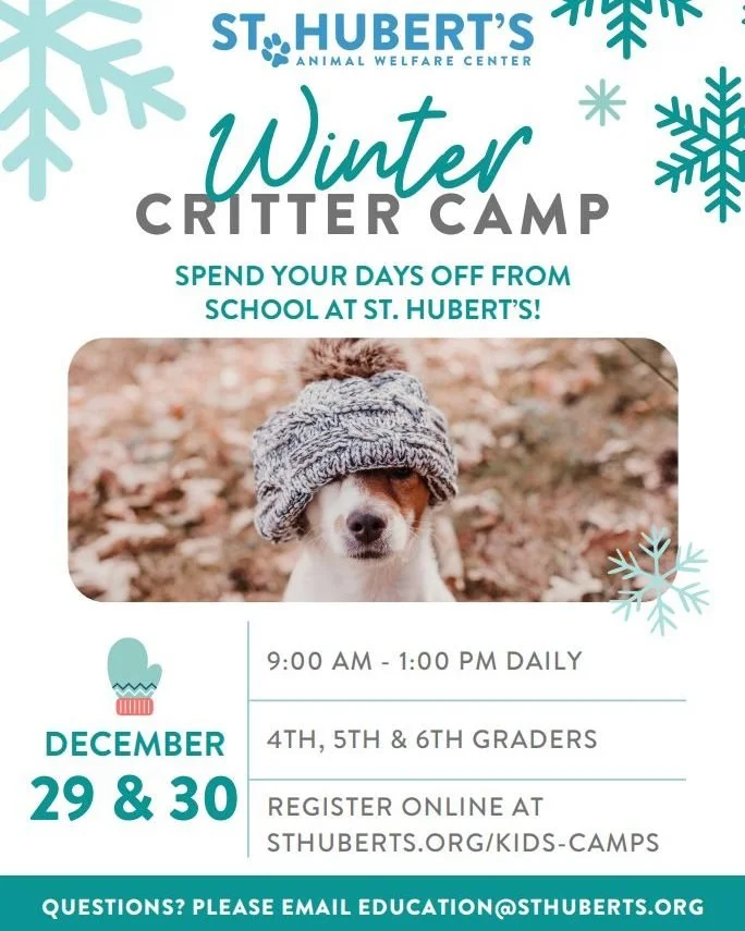 Winter Critter Camp (Dec)