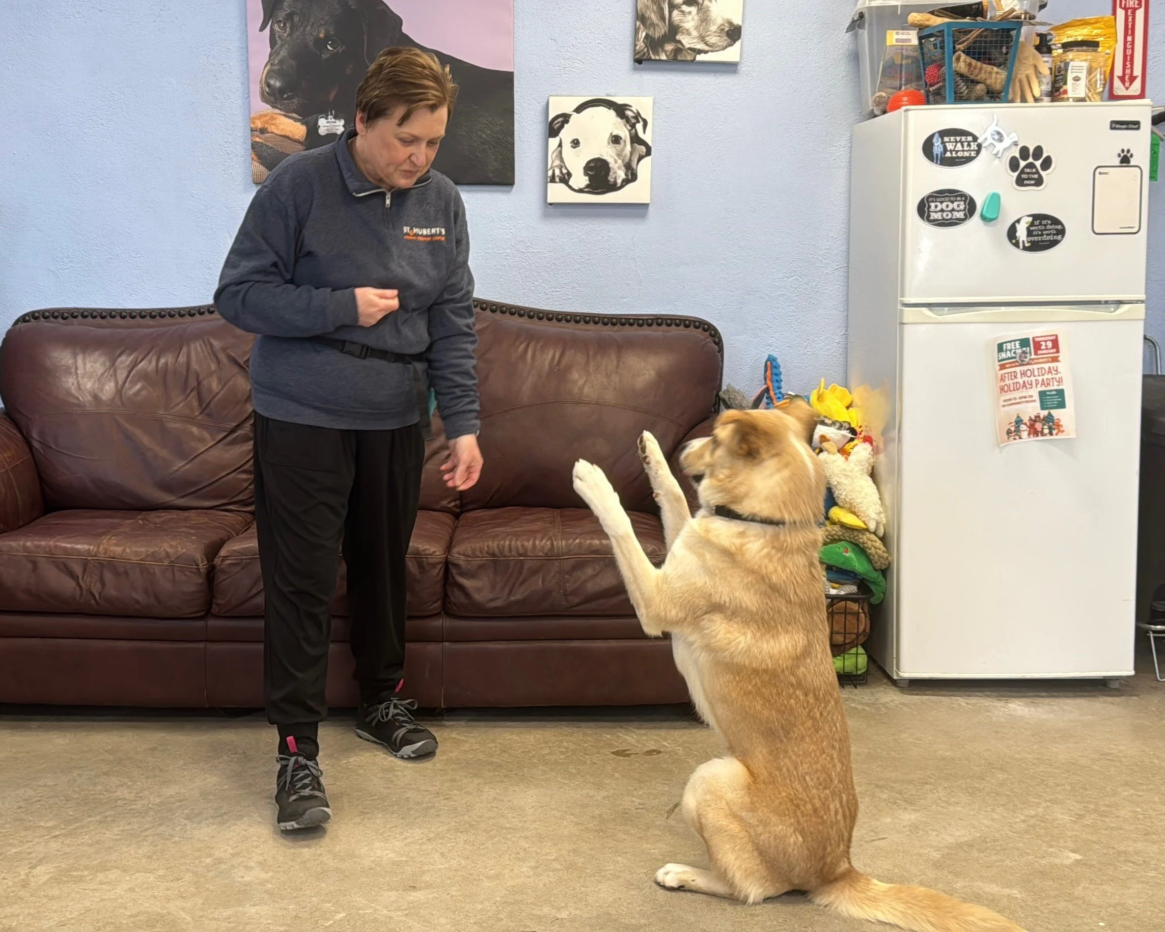 Keeping Your Dog Busy &amp; Engaged Inside When The Weather’s Bad Outside