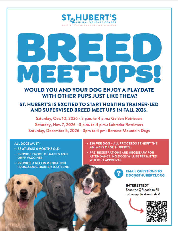 Golden Retriever Meetup