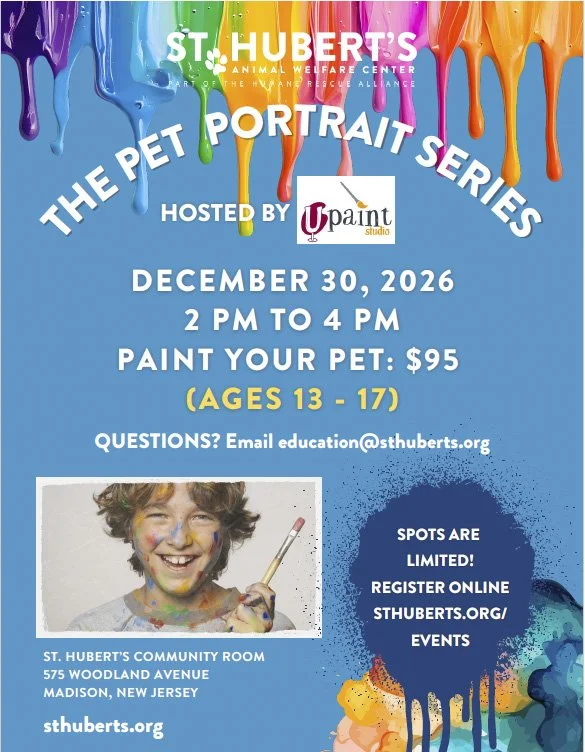 Paint Your Pet