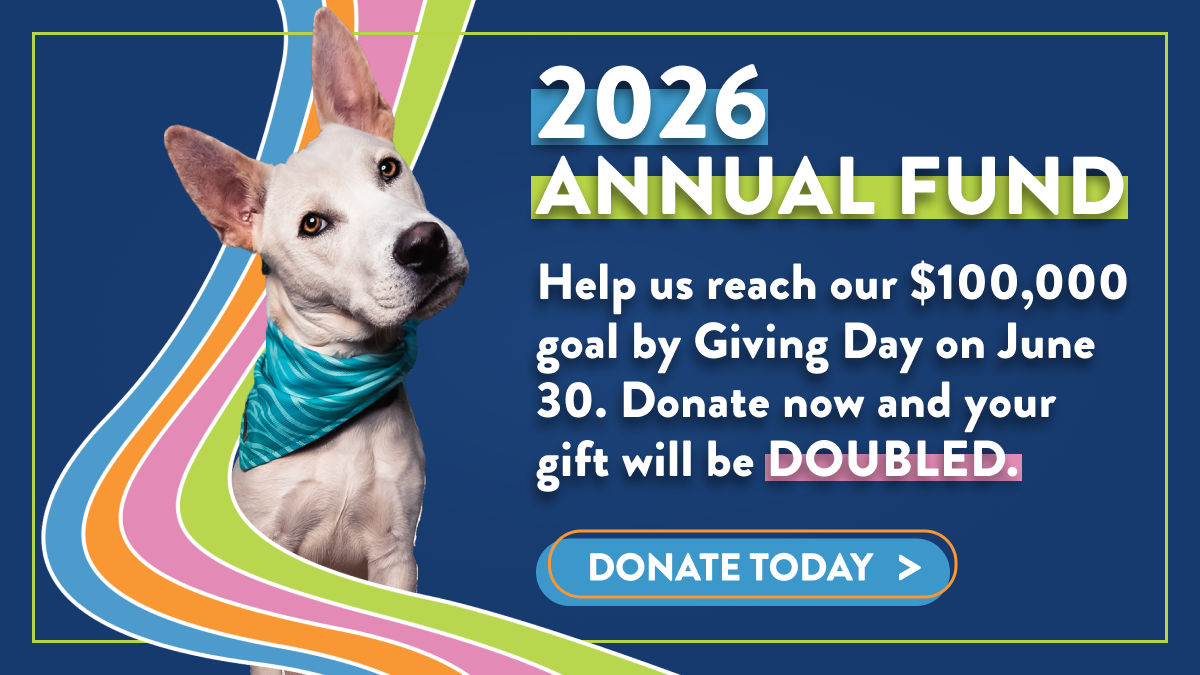 STH-FY26-June-AnnualFund-Lightbox-Doubled.png