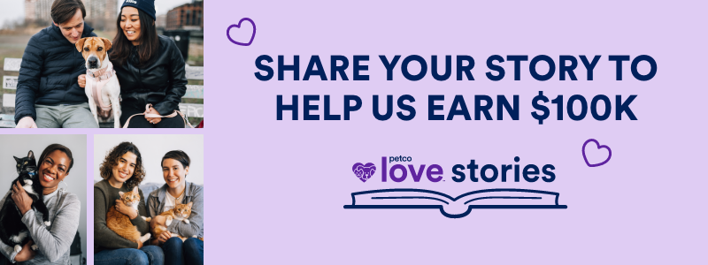 petco love story graphic that says "share your story to help us earn $100K"