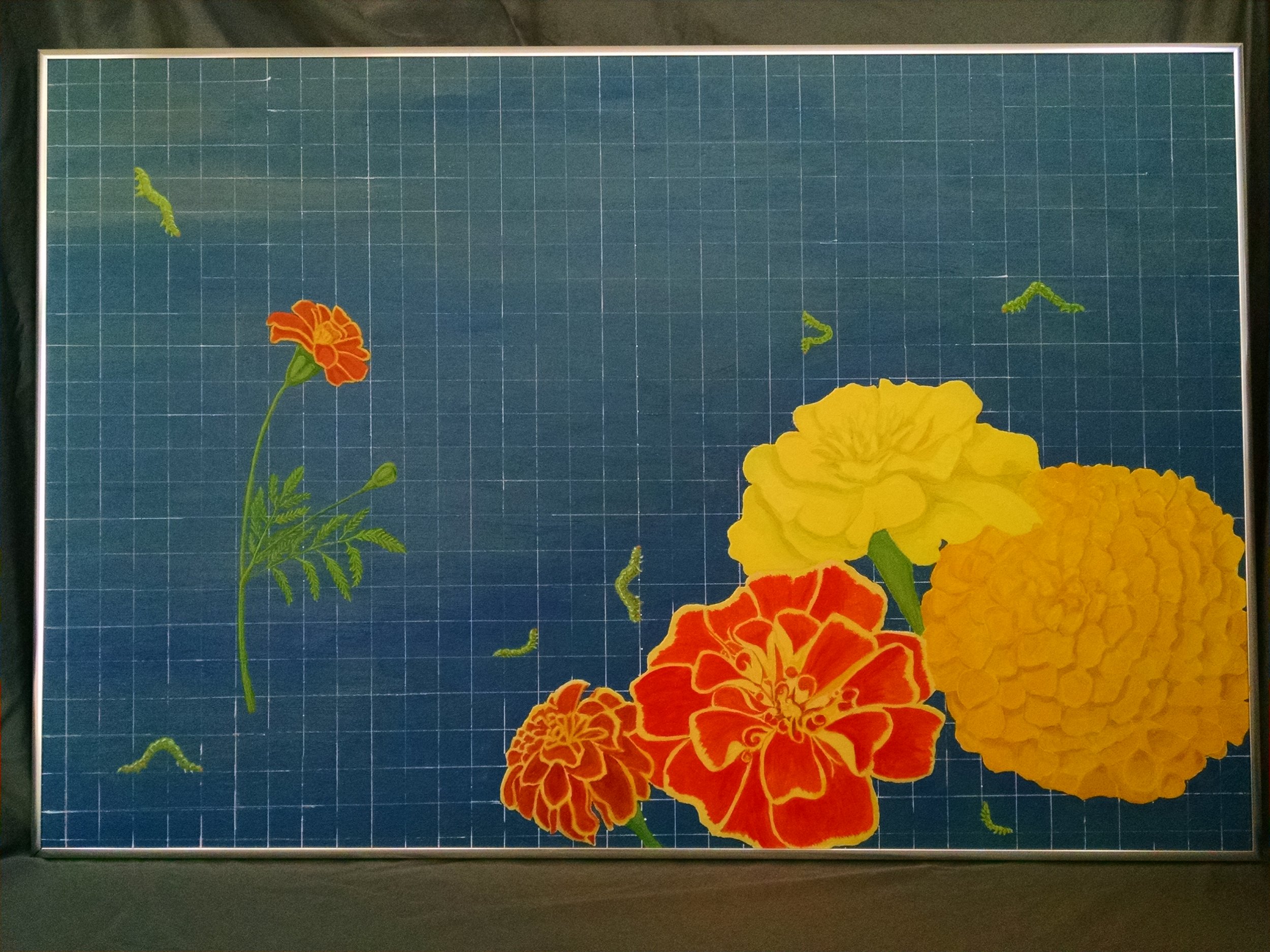 Measuring the Marigolds
