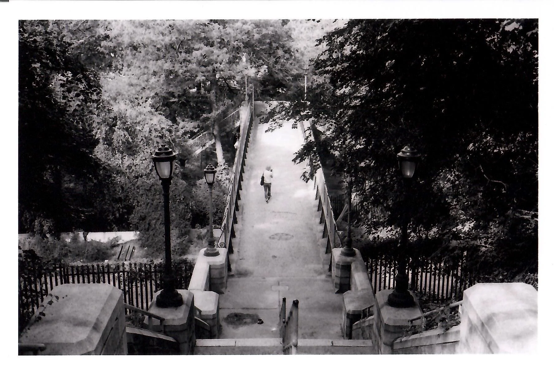 NYC on Film 7.jpeg
