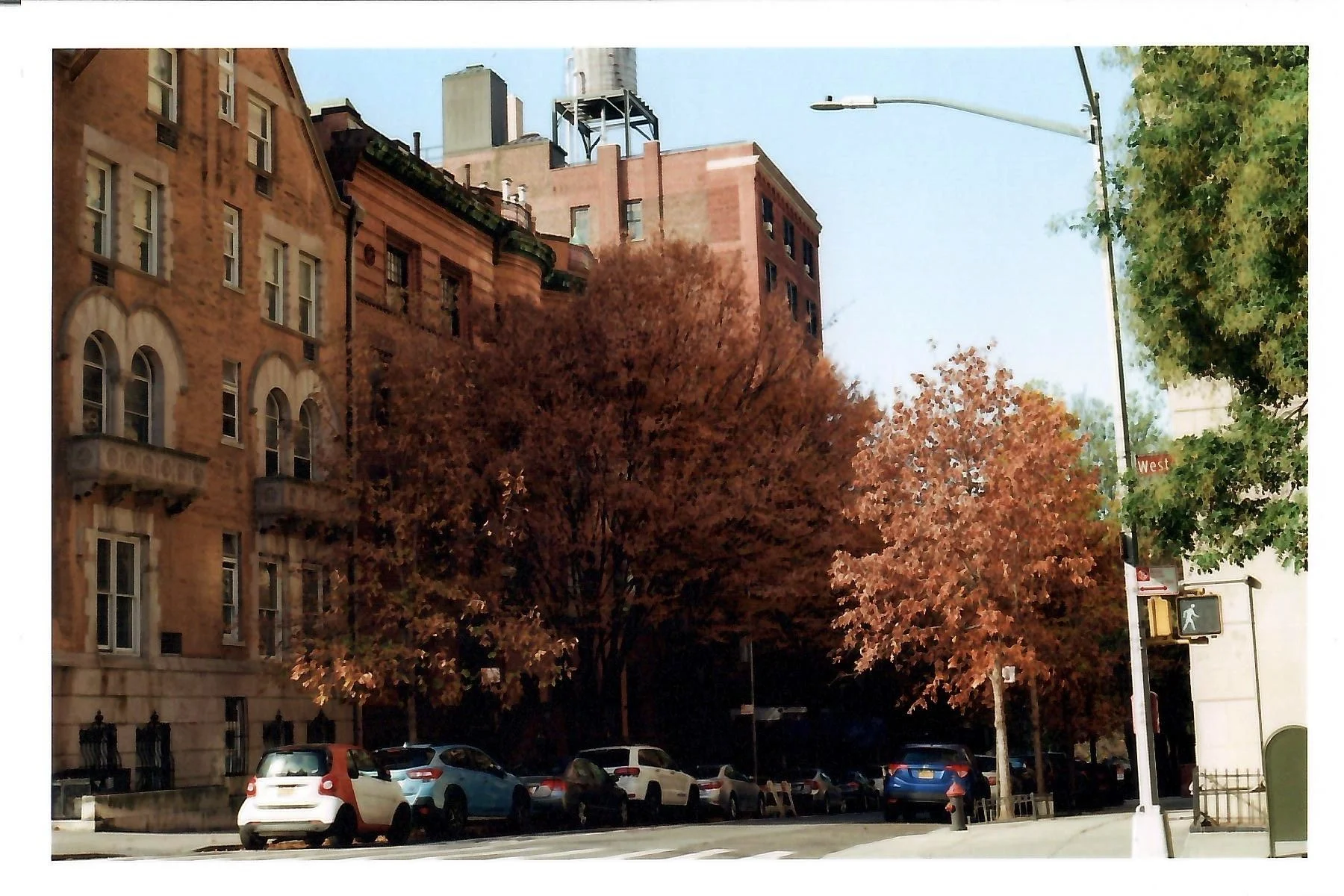 NYC on Film 12.jpeg