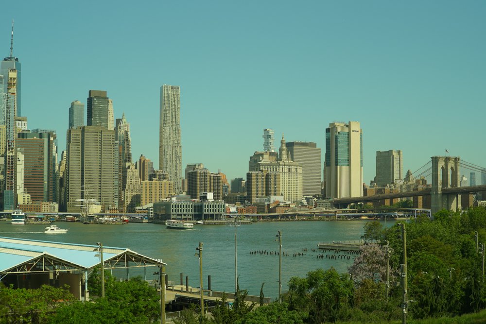 A6500487.jpg