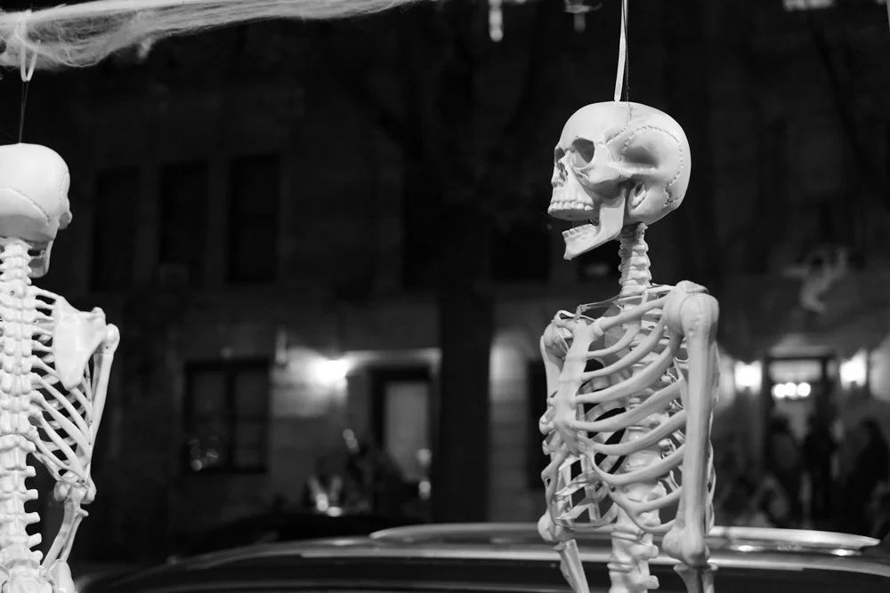 A6500192.jpg