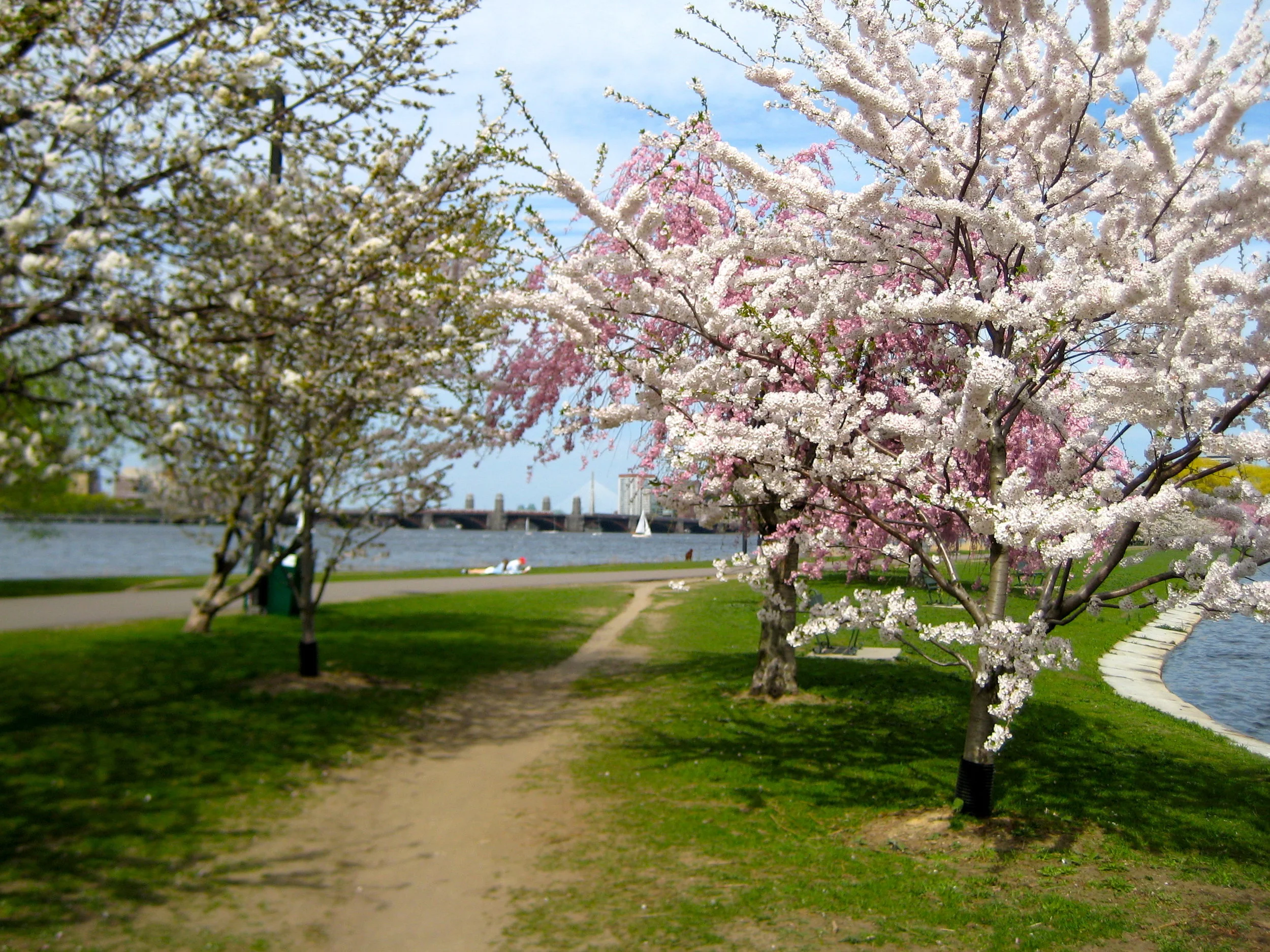 2018 Info - Happy Spring!