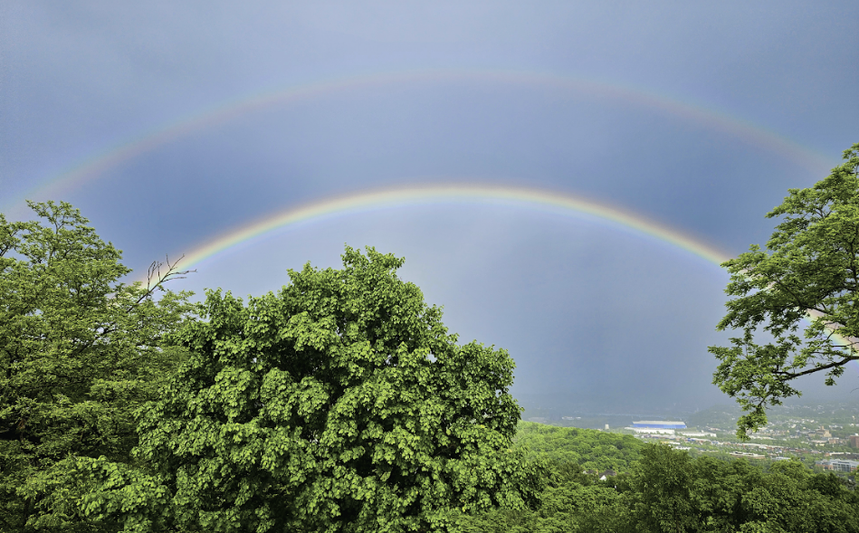 SB Rainbow.png