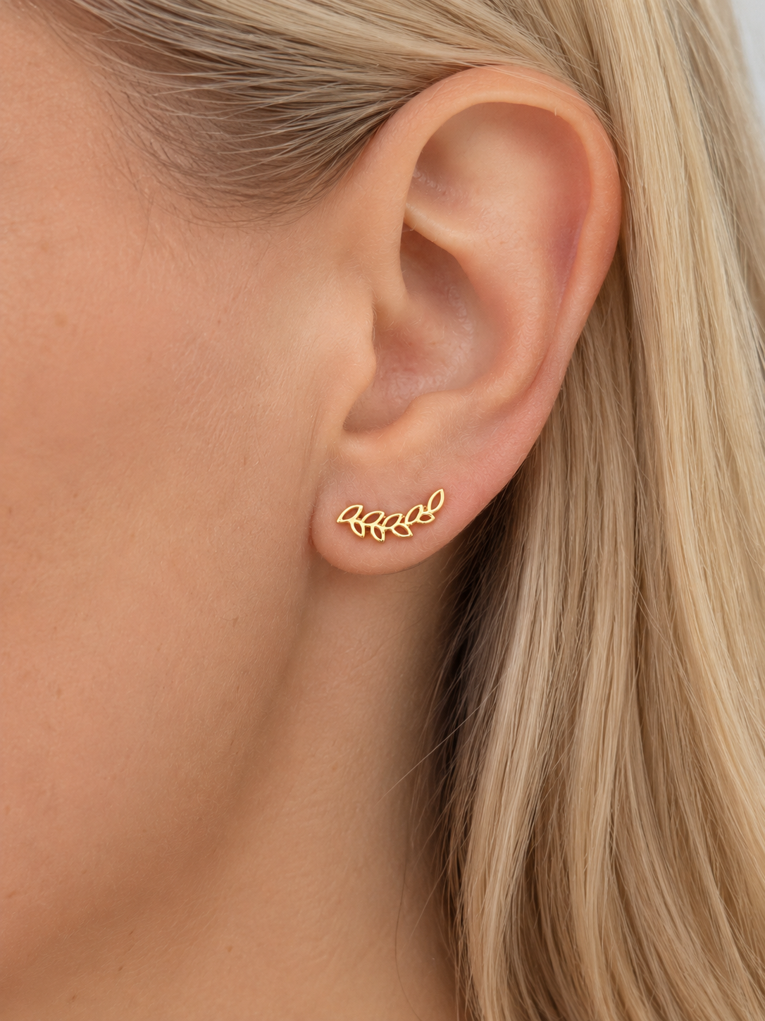Boutons d’oreilles feuilles