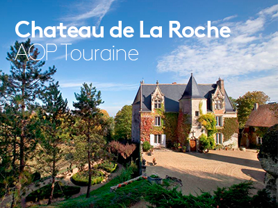 chateau de la Roche