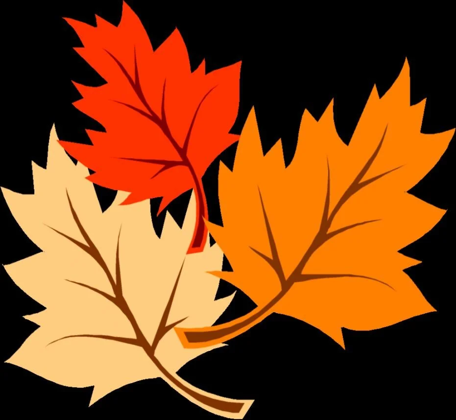 Fall Leaves.jpg