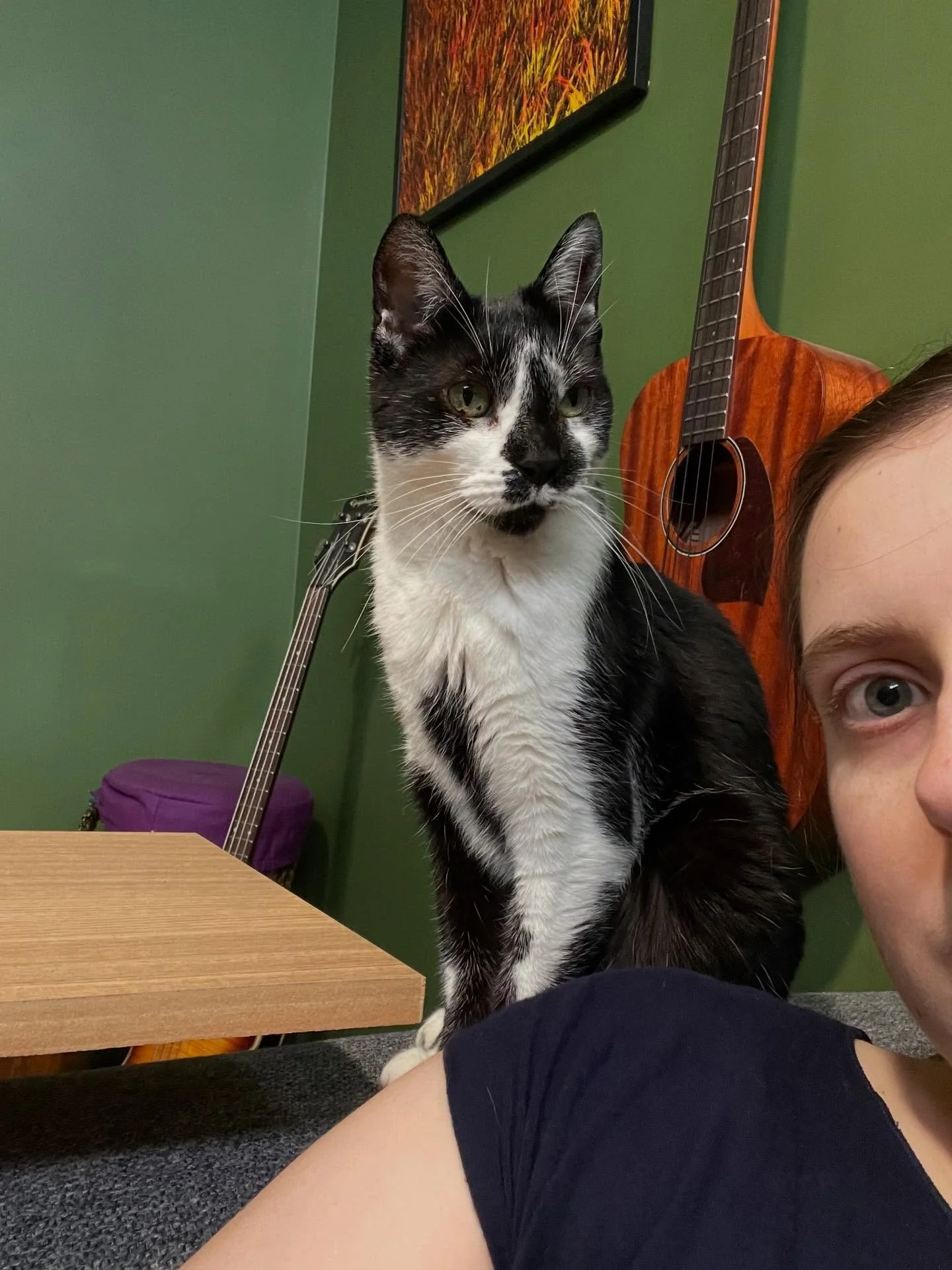 Social media catch up &ndash; Larry for attention &ndash; links in stories 🐈&zwj;⬛ 🌳 

1. Steph from @cutcommonmag published a beautiful Q&amp;A with me about Under the Fig Tree this week!

2. &lsquo;Song of the Wombat&rsquo; played by @schillerjac