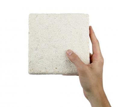 MycoFoam