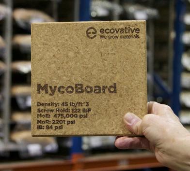MycoBoard
