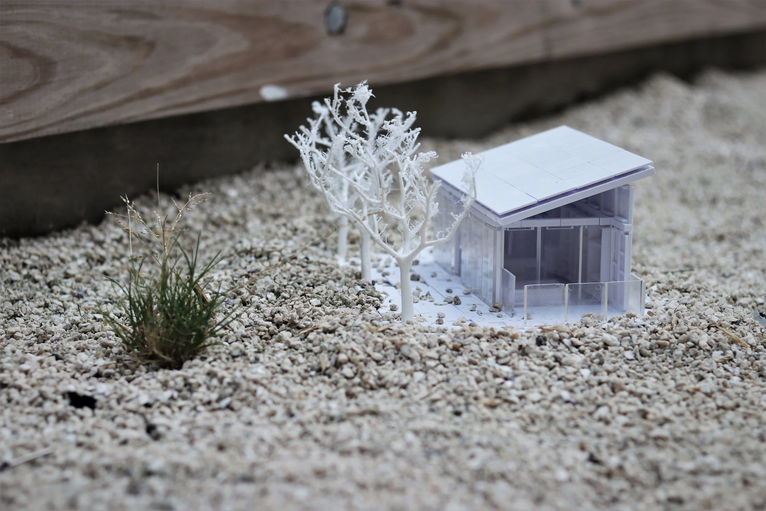 Snowdrop Prototype House V3 - 2018