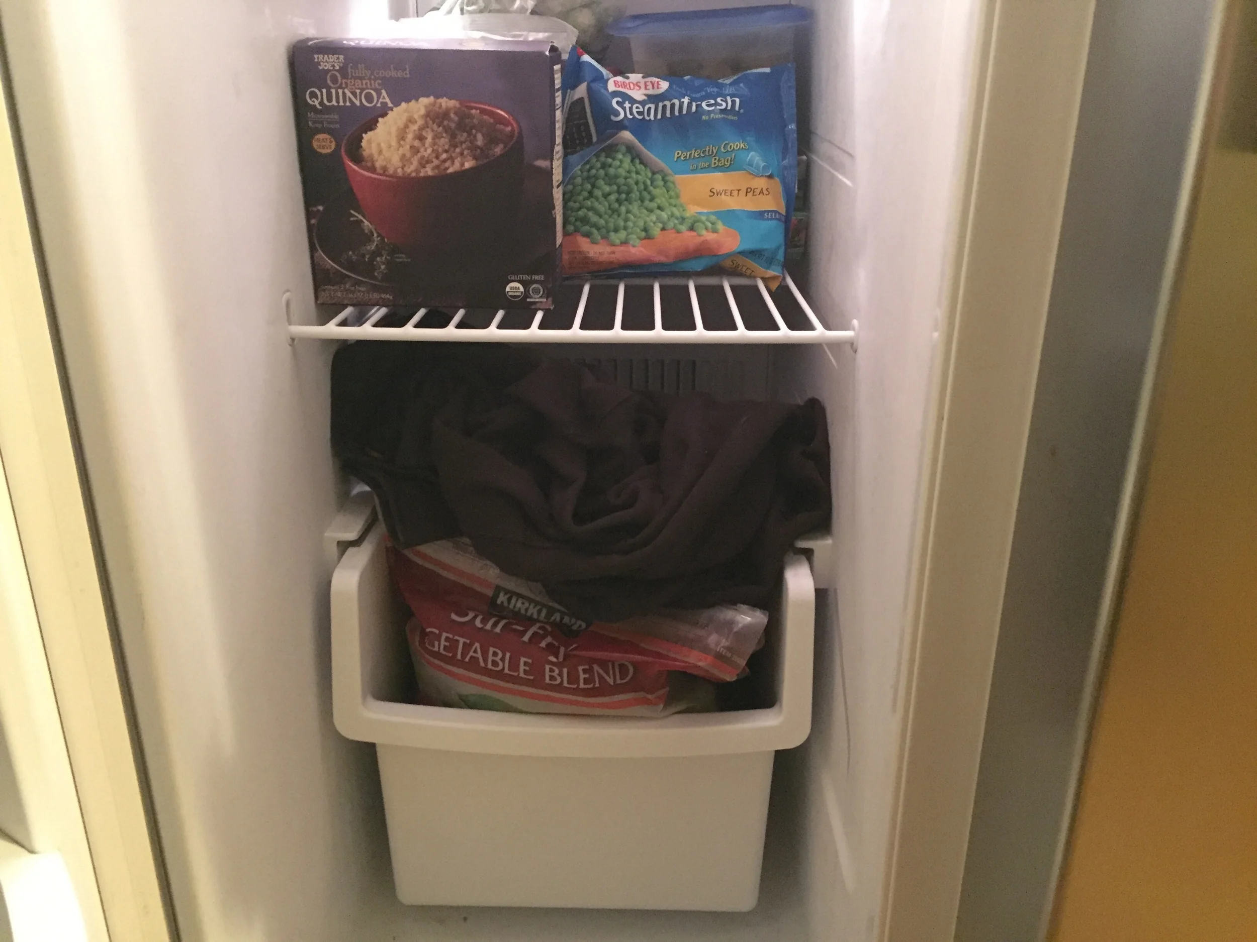 dust_mite_freezer.jpg