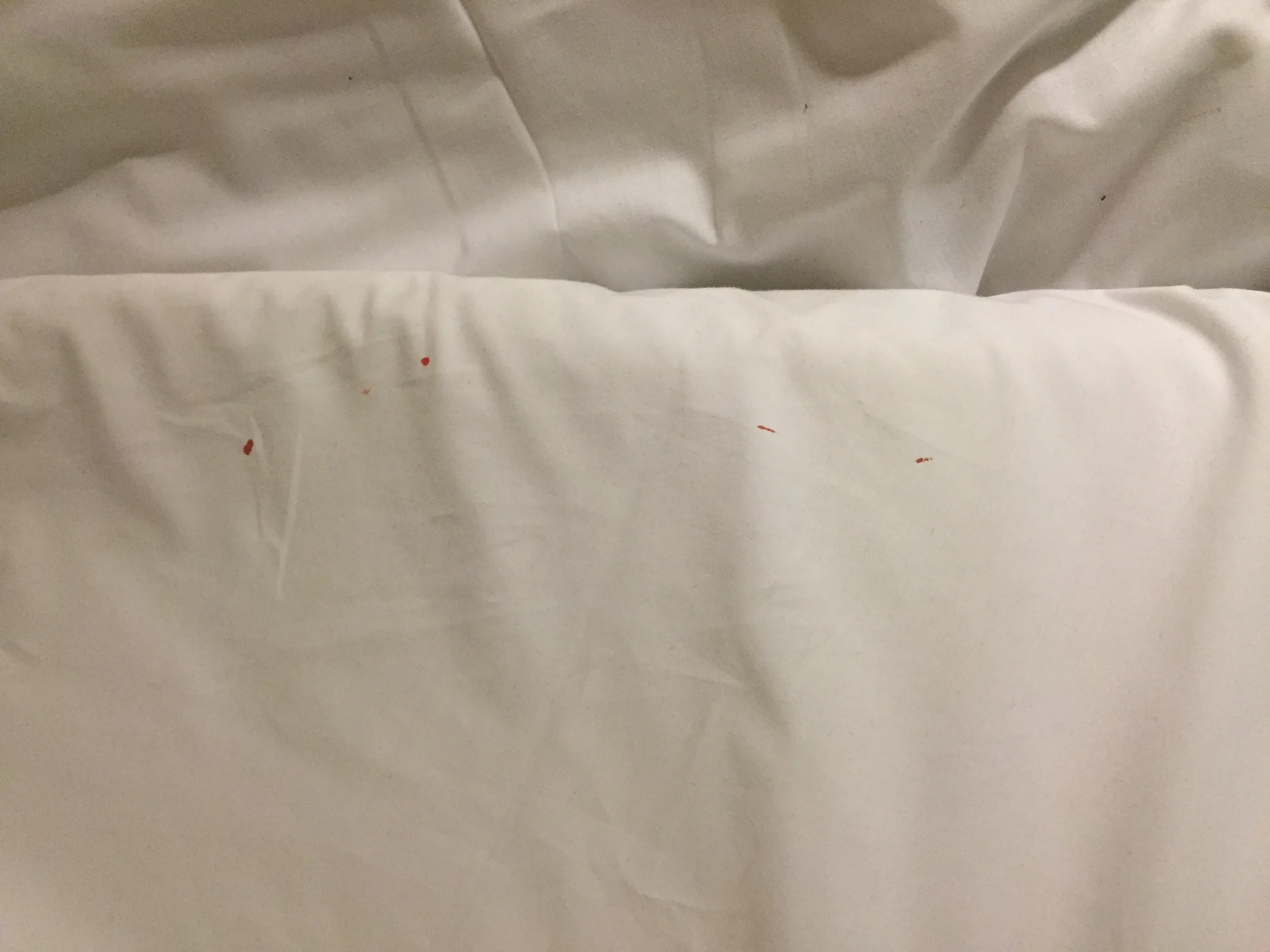 Eczema_Bleeding-white_sheets.jpg