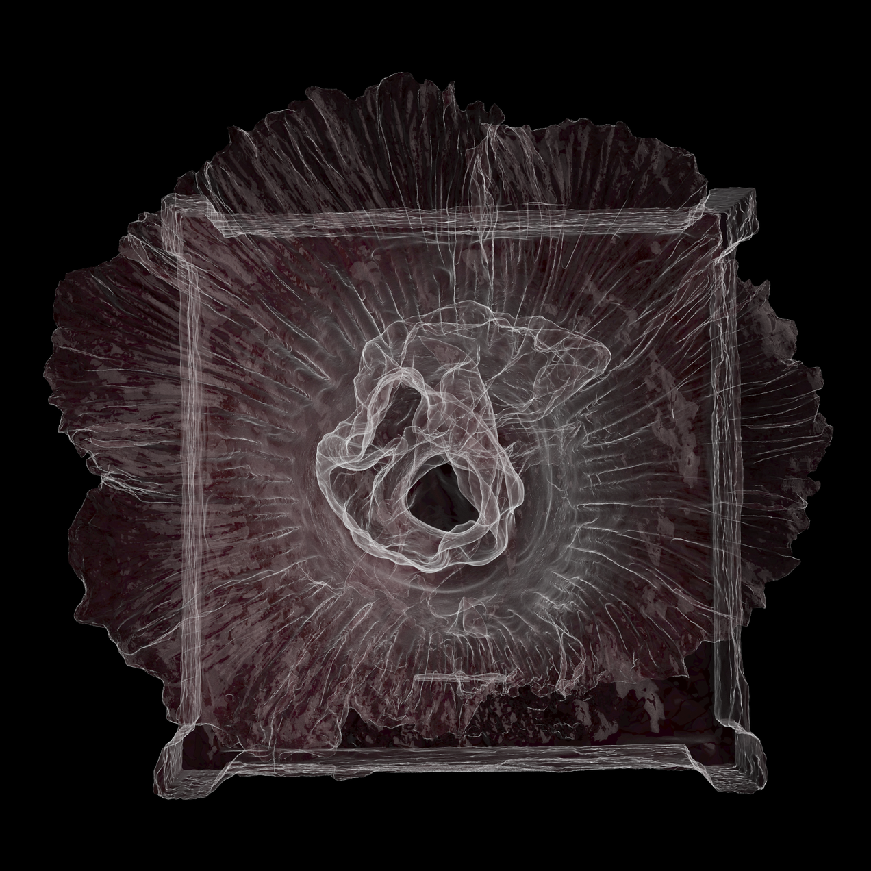 7_31_2025-snapshot-2025-08-03_22-31-35.png