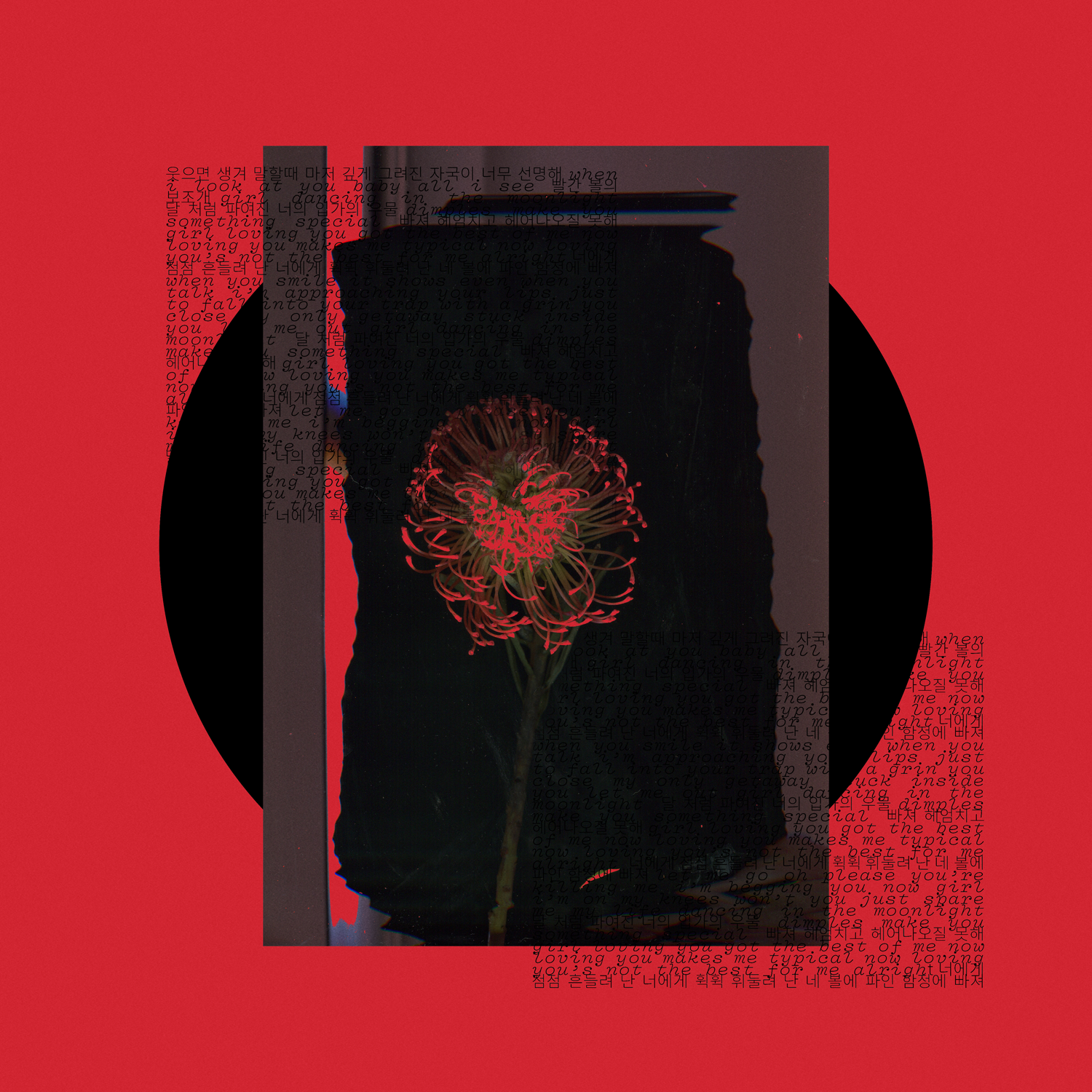 Dimples Single Cover