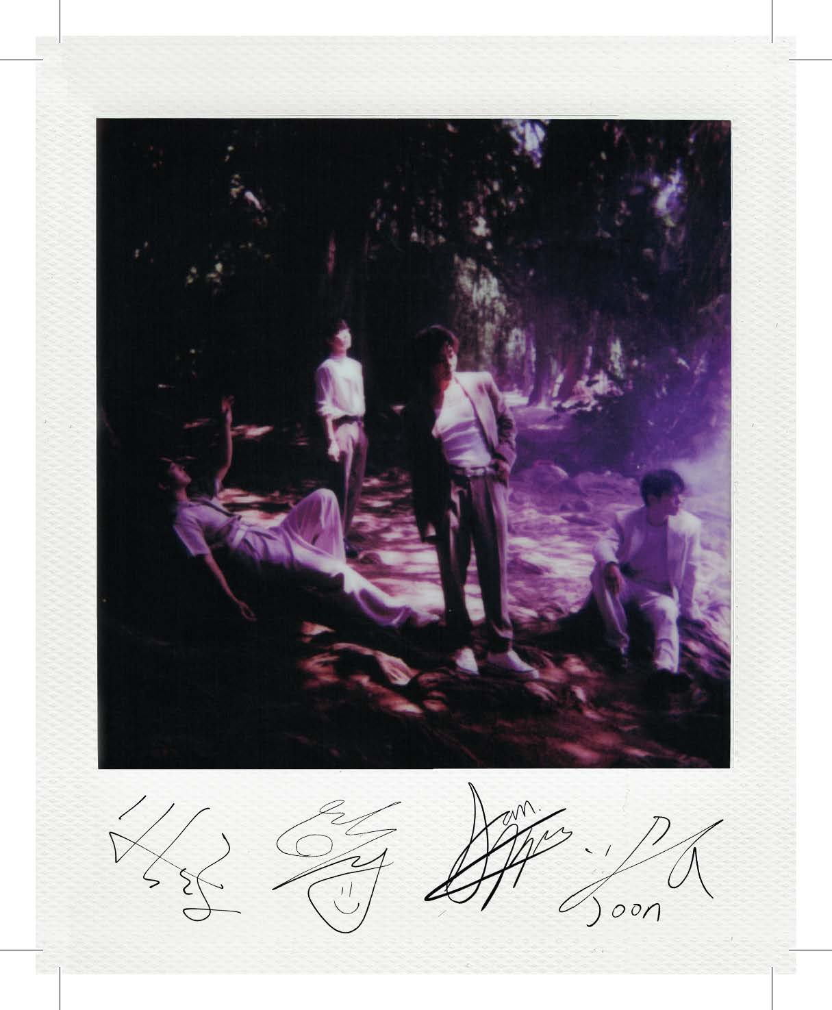 Polaroid_Front_Forest_BAND1_M4.jpg