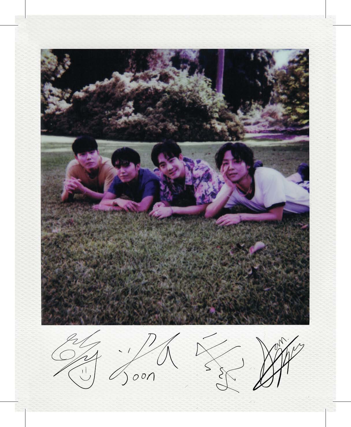 Polaroid_Front_FOREST_BAND2_M4.jpg