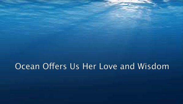 Ocean Speaks to those willing to hear!