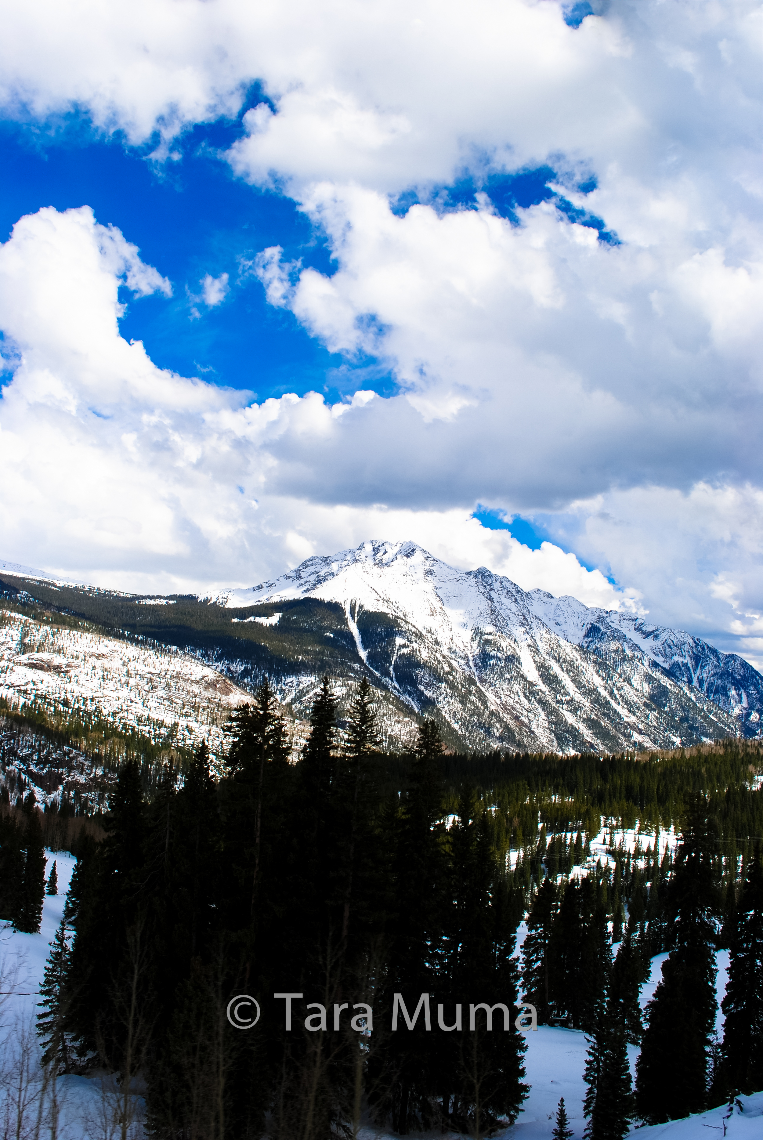 Mountain Inspiration