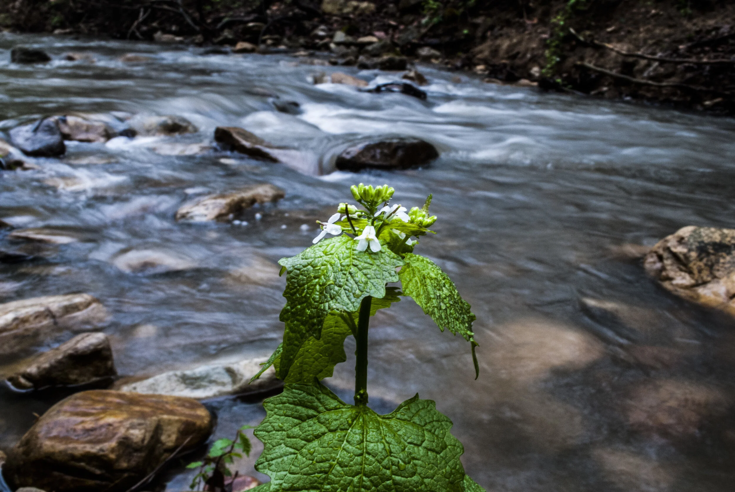 DSC_2057.jpg