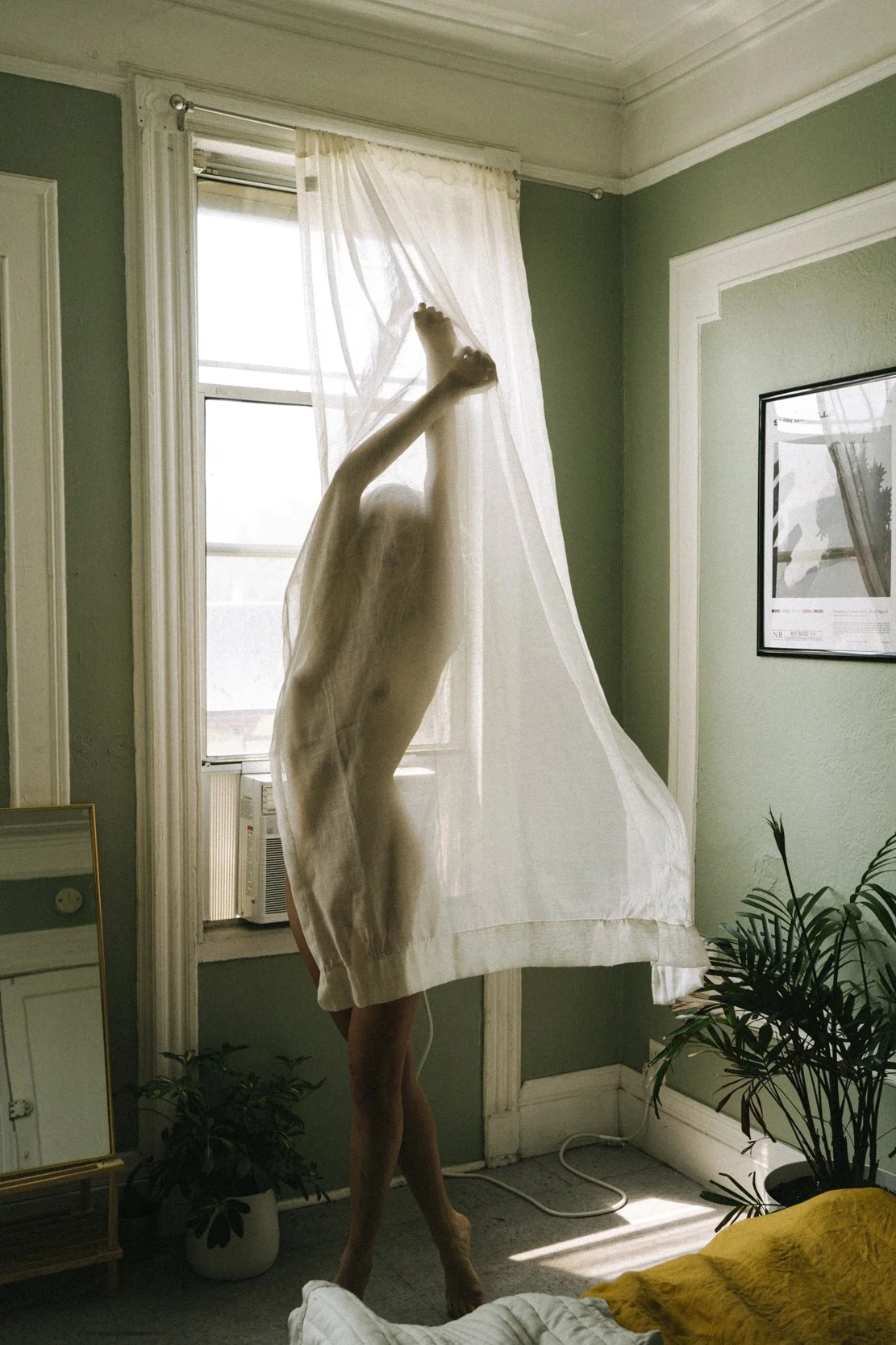 A person standing behind a sheer curtain by a window, with sunlight streaming in, inside a room with green walls, plants, and framed artwork.