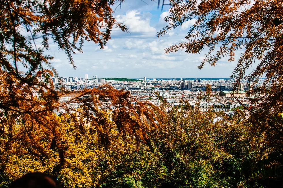 _DSC0571.JPG