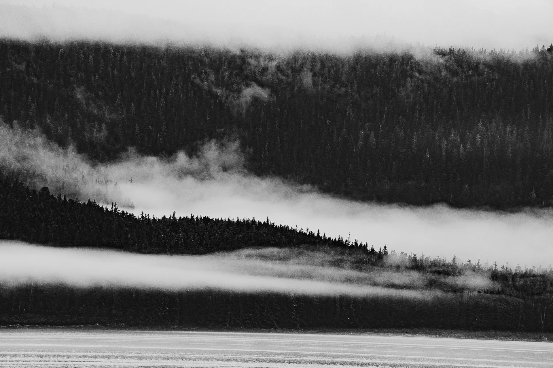 DSC_3027.jpg